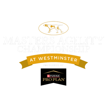 THE MASTERS AGILITY CHAMPIONSHIP AT WESTMINSTER