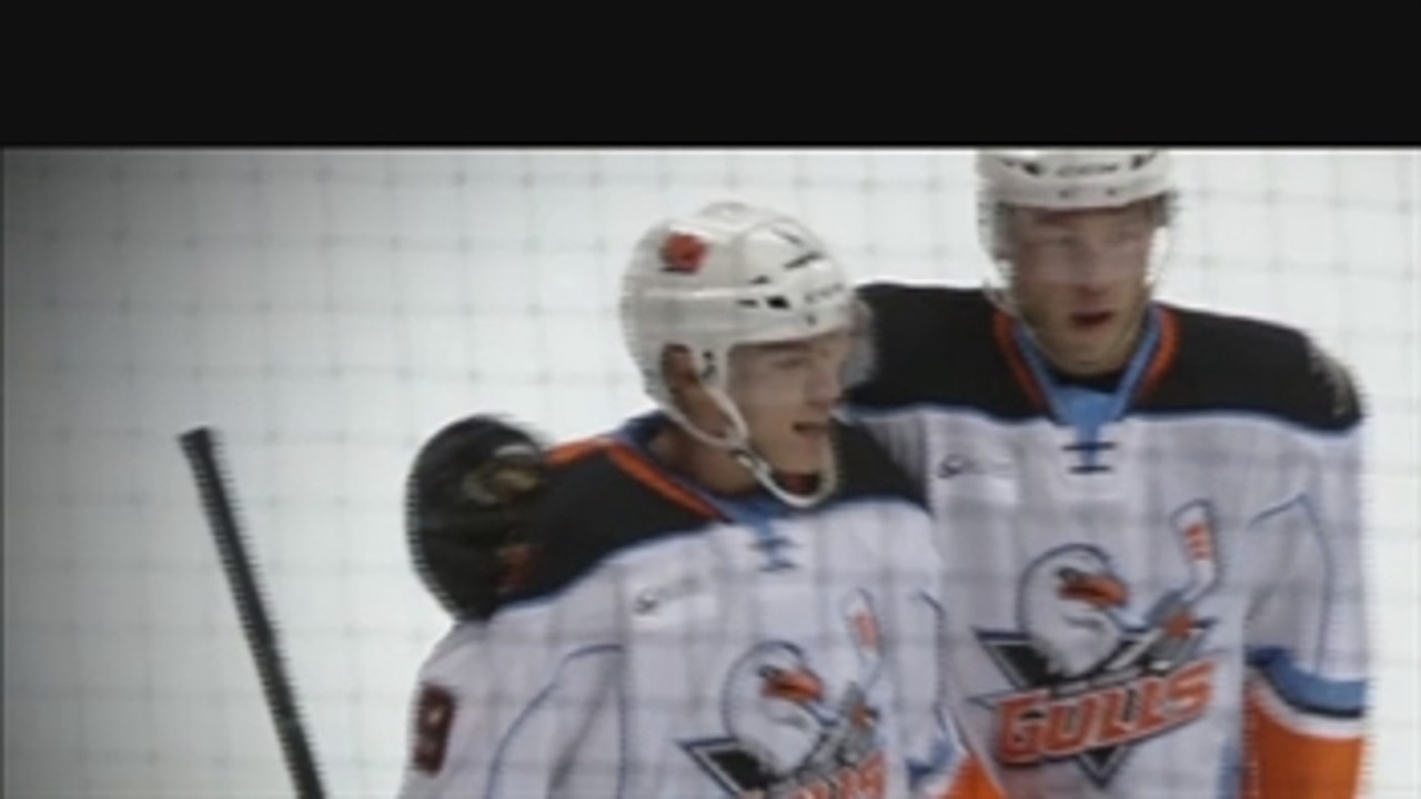 San Diego Gulls are seeking a championship as they head into the Calder Cup Playoffs