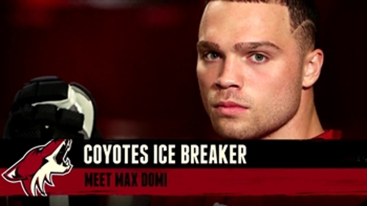 Coyotes Ice Breaker: Monday, Nov. 21