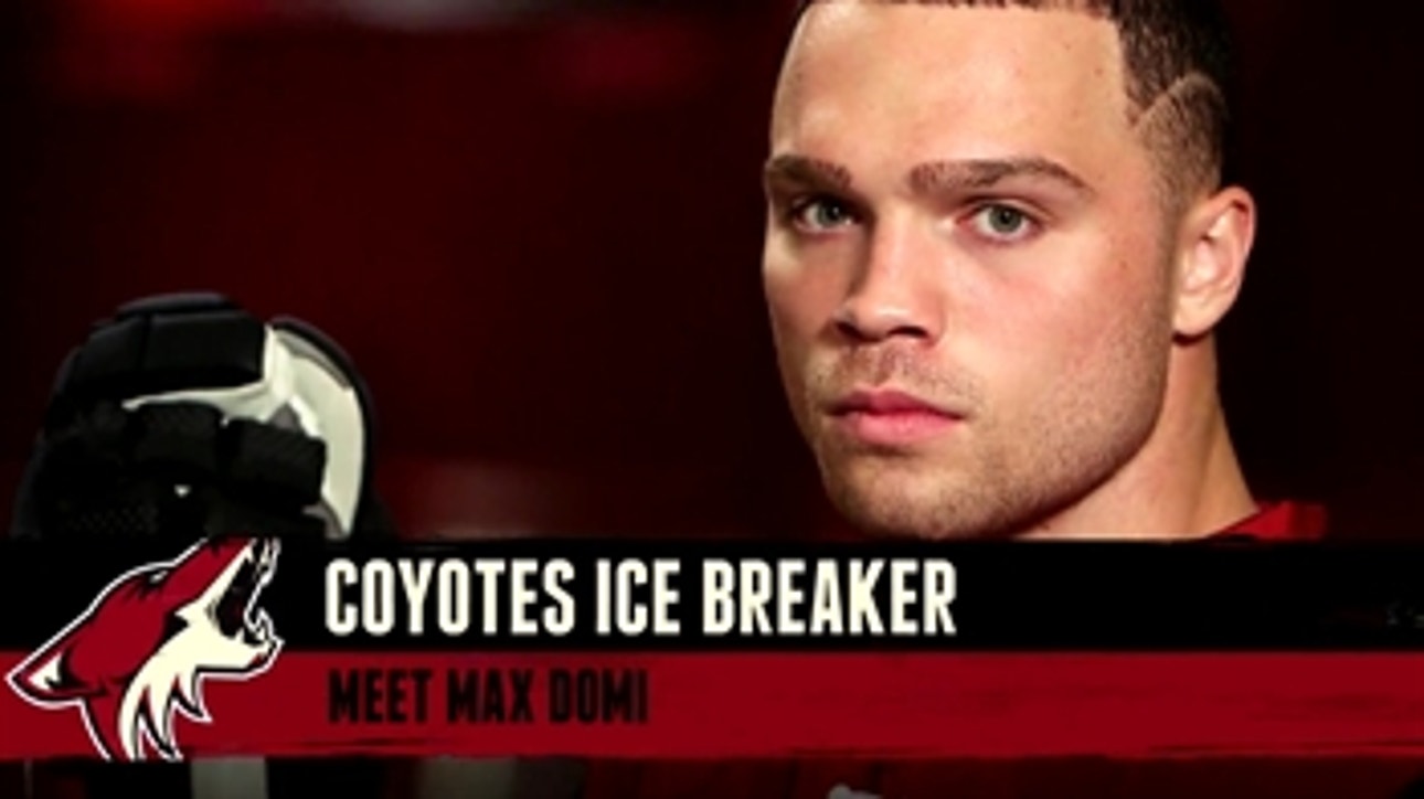 Coyotes Ice Breaker: Monday, Nov. 21