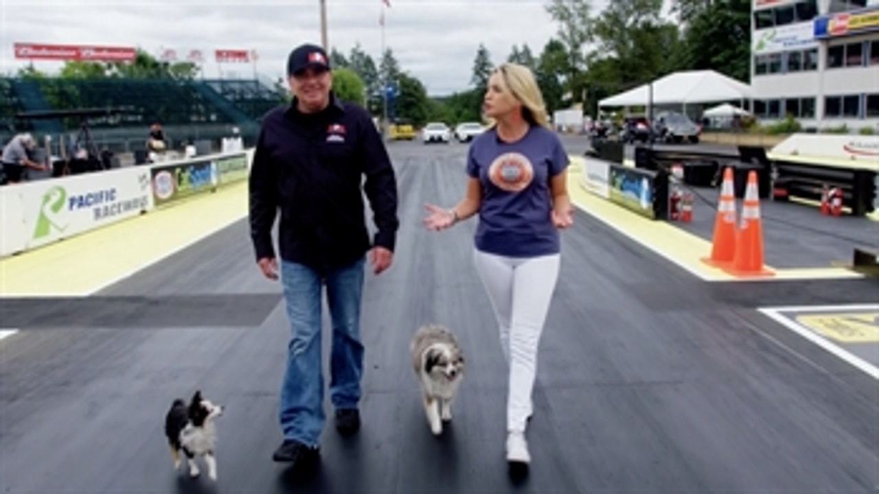 Walk 1000 feet with Scott Palmer, and his dogs ' 2018 NHRA DRAG RACING