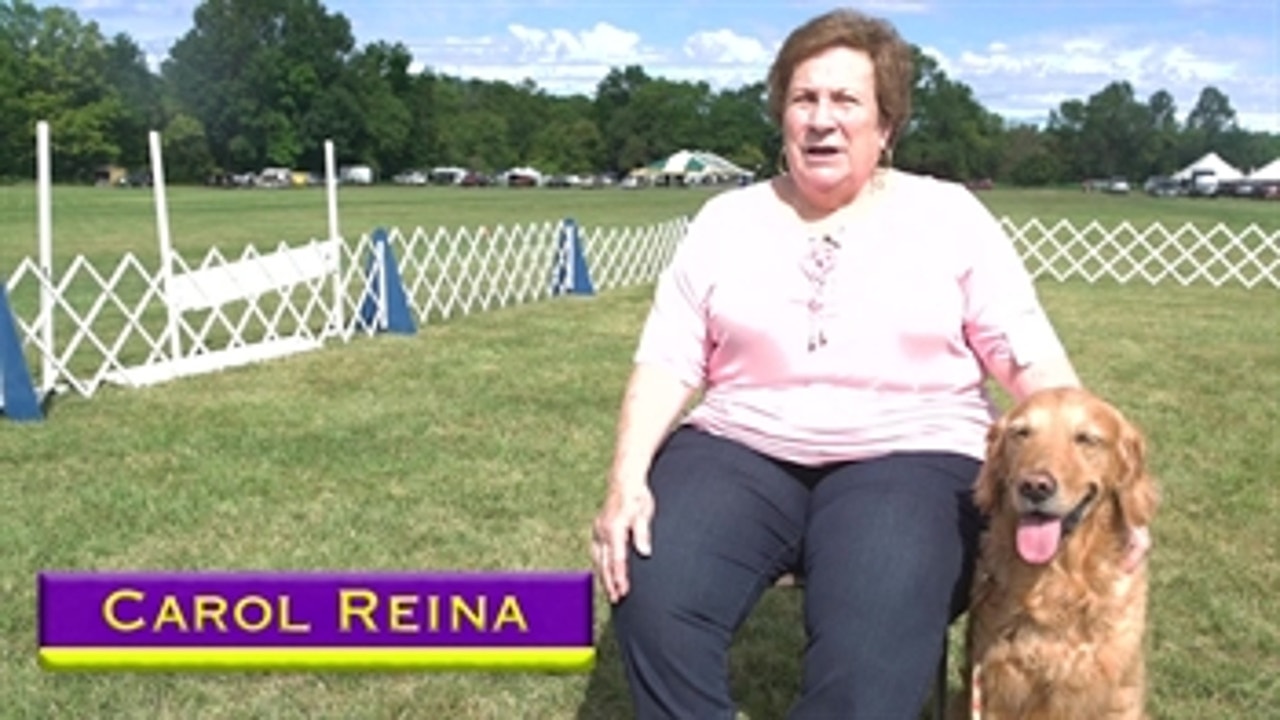 Road to Westminster (RTW): Obedience Dog Owner Carol Reina
