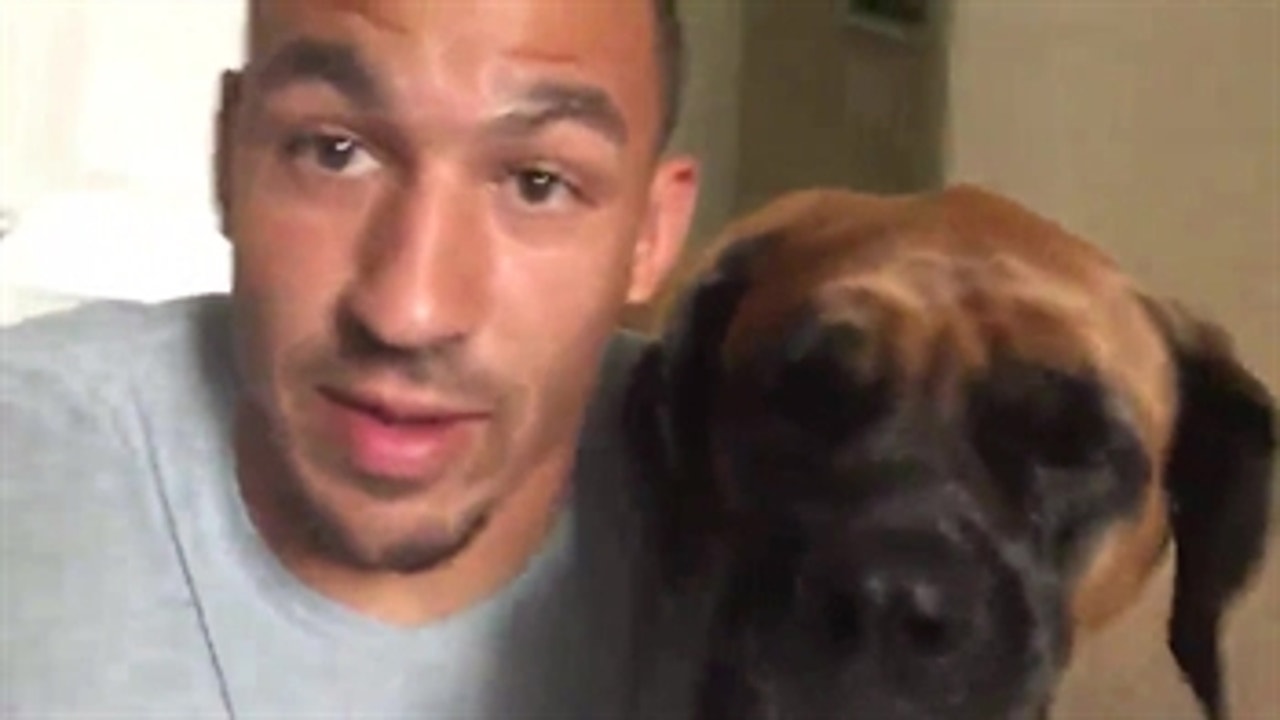 Dog lovers check this out! Cowboys DL Tyrone Crawford and his dogs are ready for tomorrow's game. - PROcast