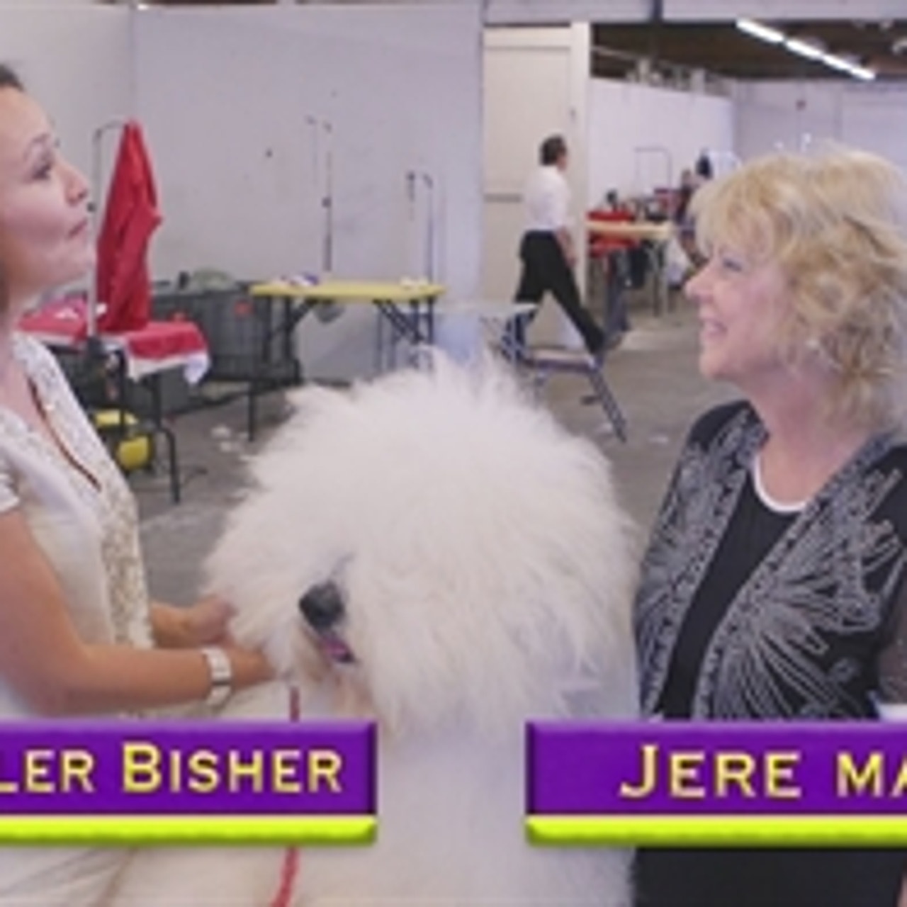 Road to Westminster RTW Owner Handler Jere Marder FOX Sports