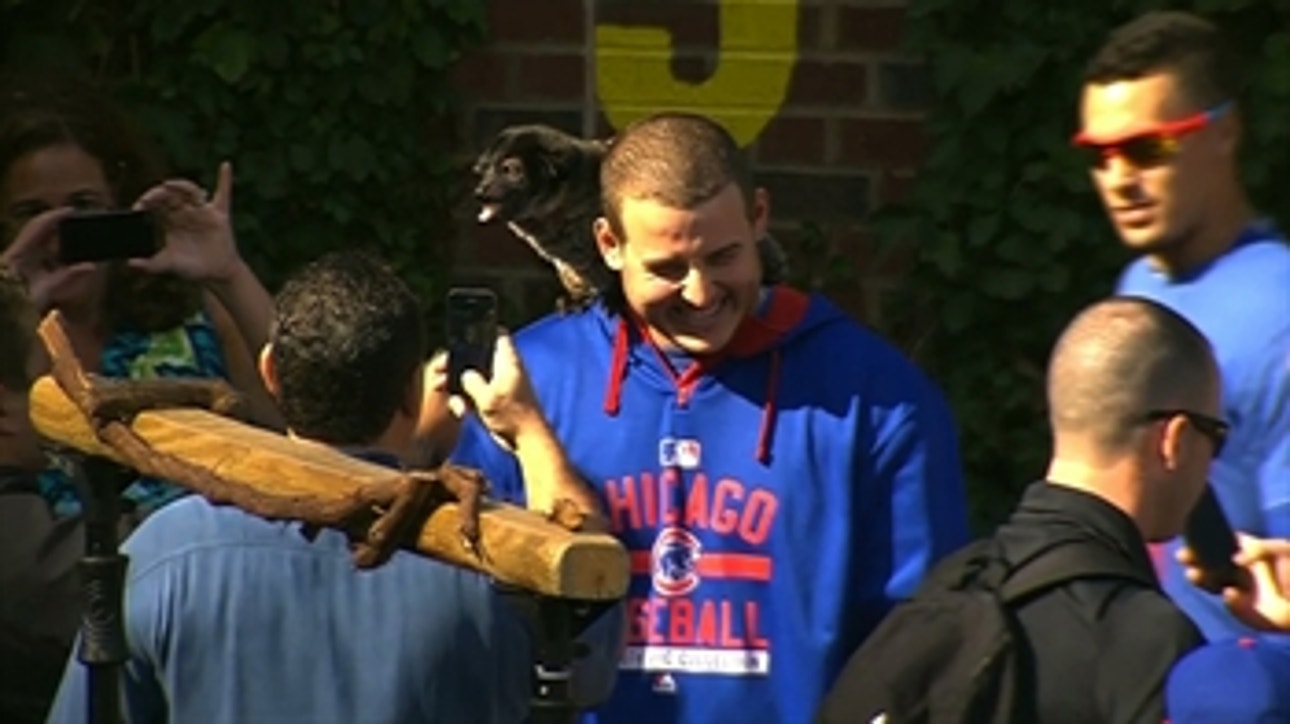 Cubs host Zoo Day at Wrigley Field