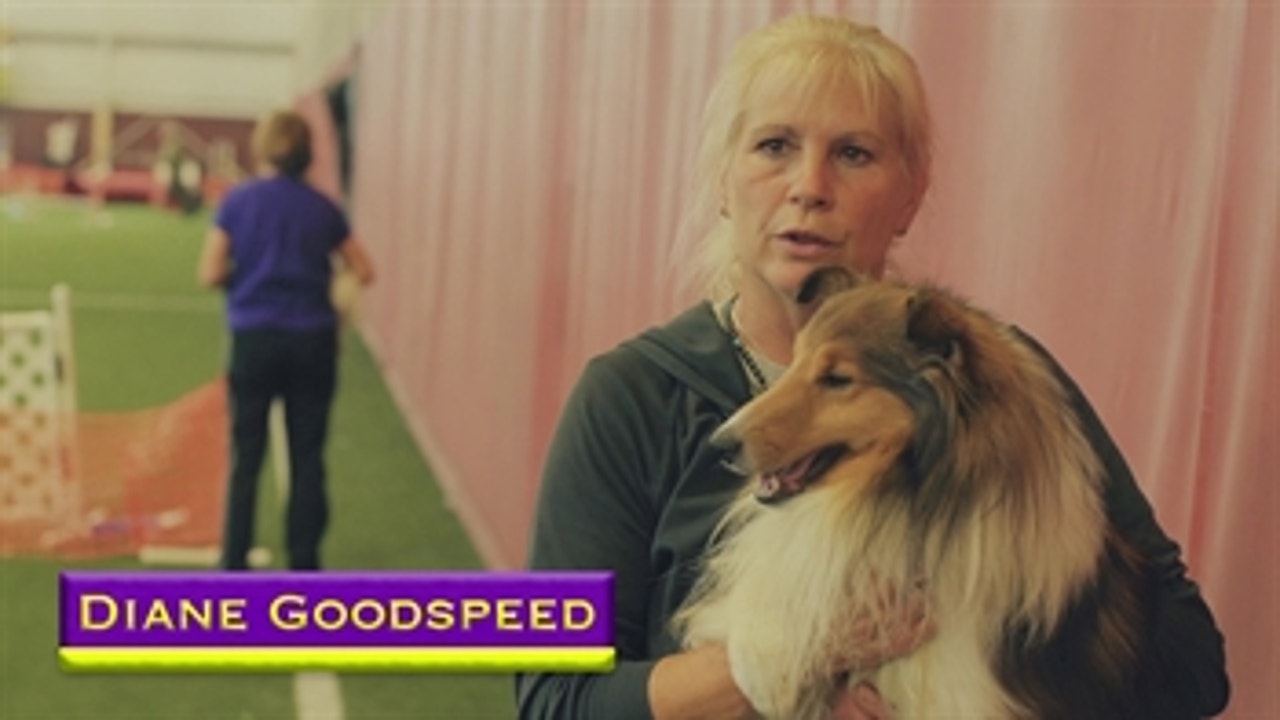 Trainer Diane Goodspeed takes you behind the scenes