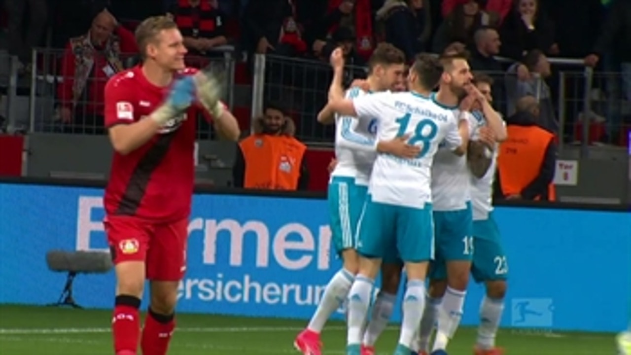 Guido Burgstaller gives Schalke the lead over Bayer 04 ' 2016-17 Bundesliga Highlights