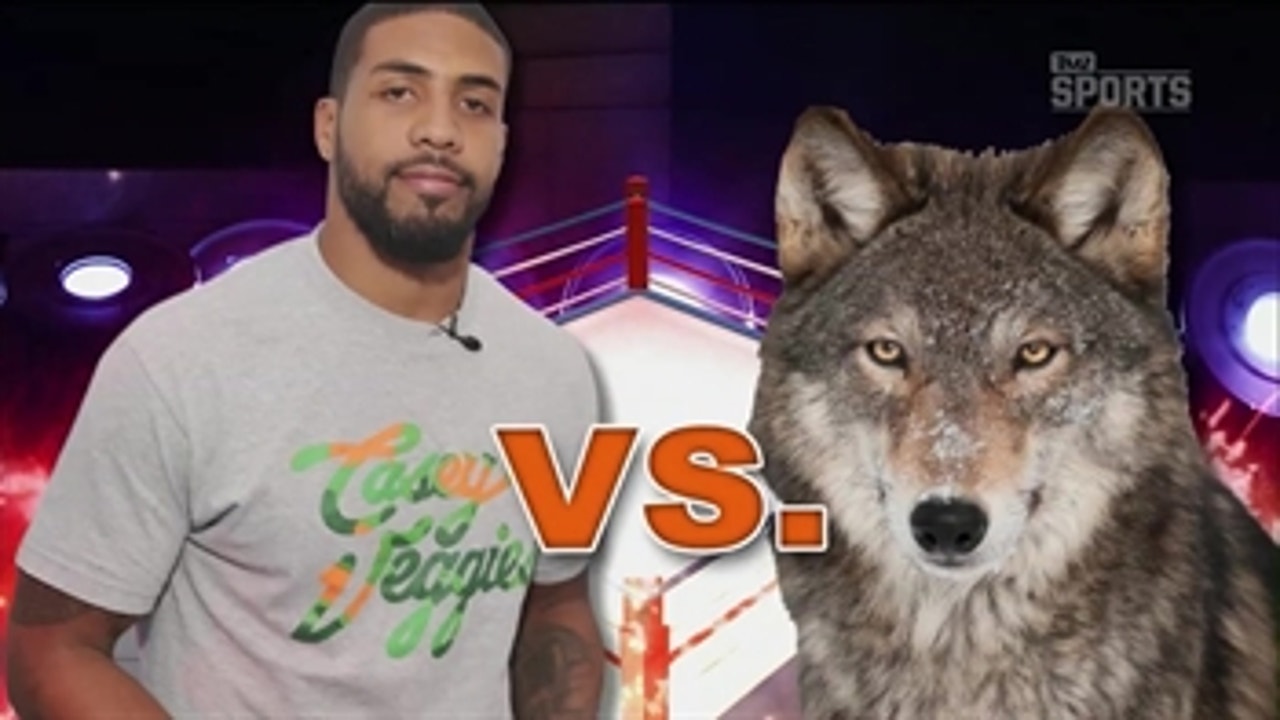 Arian Foster wants to fight a wolf ' TMZ SPORTS