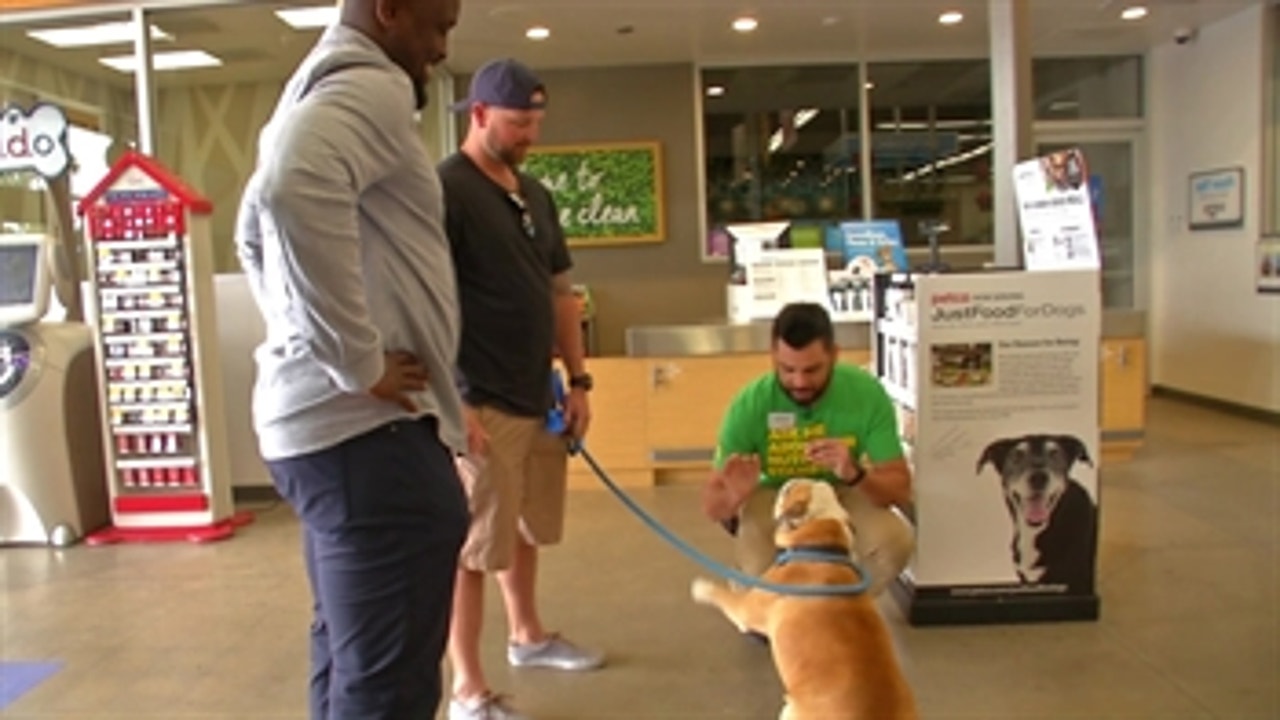 Padres closer Kirby Yates takes his dog, Chubbs, on a shopping spree at Petco