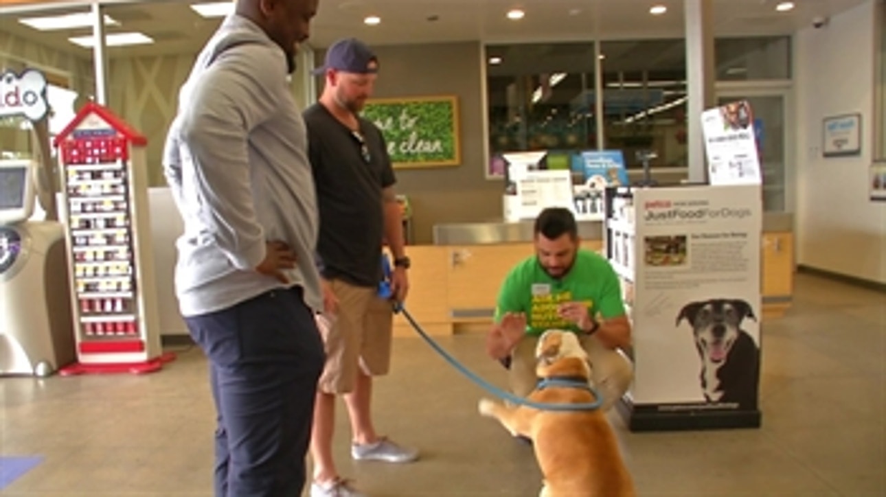 Padres closer Kirby Yates takes his dog, Chubbs, on a shopping spree at Petco