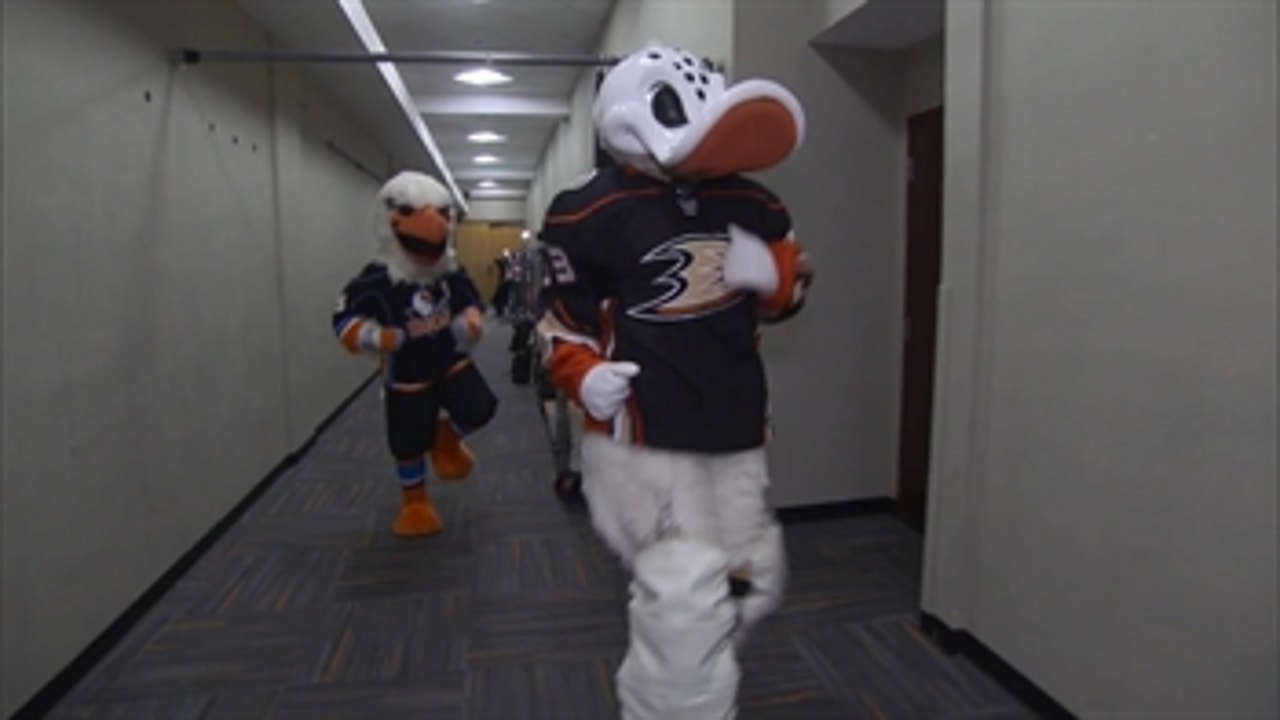  Anaheim Ducks Wild Wing Mascot Team NHL National