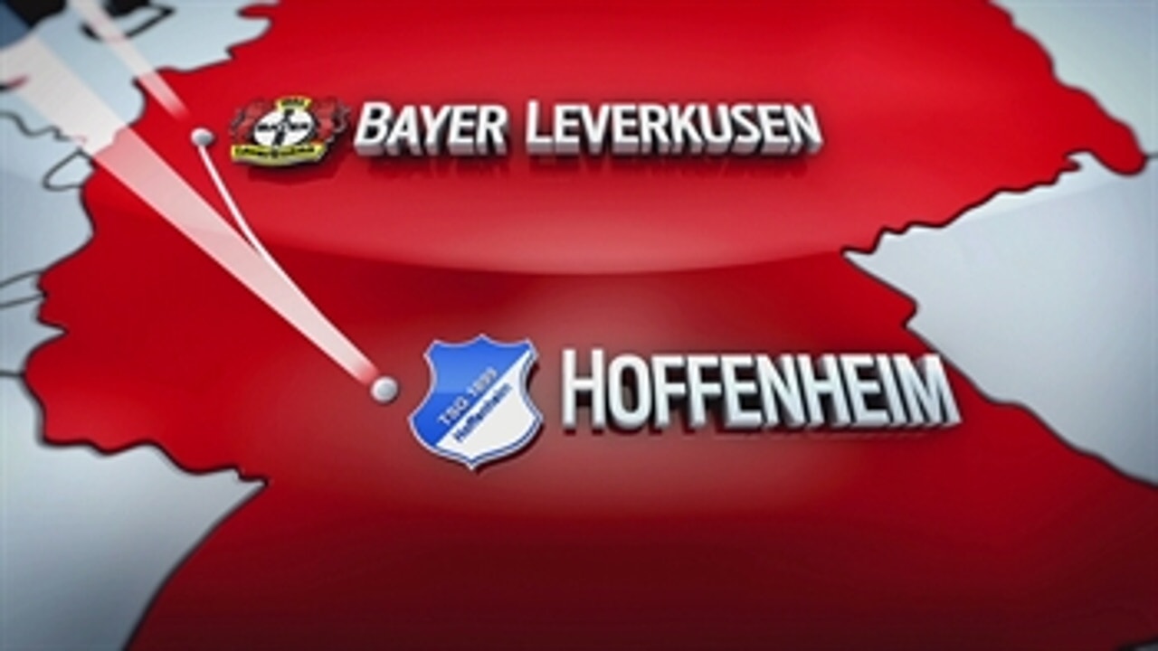 Bayer 04 Leverkusen vs. 1899 Hoffenheim ' 2016-17 Bundesliga Highlights