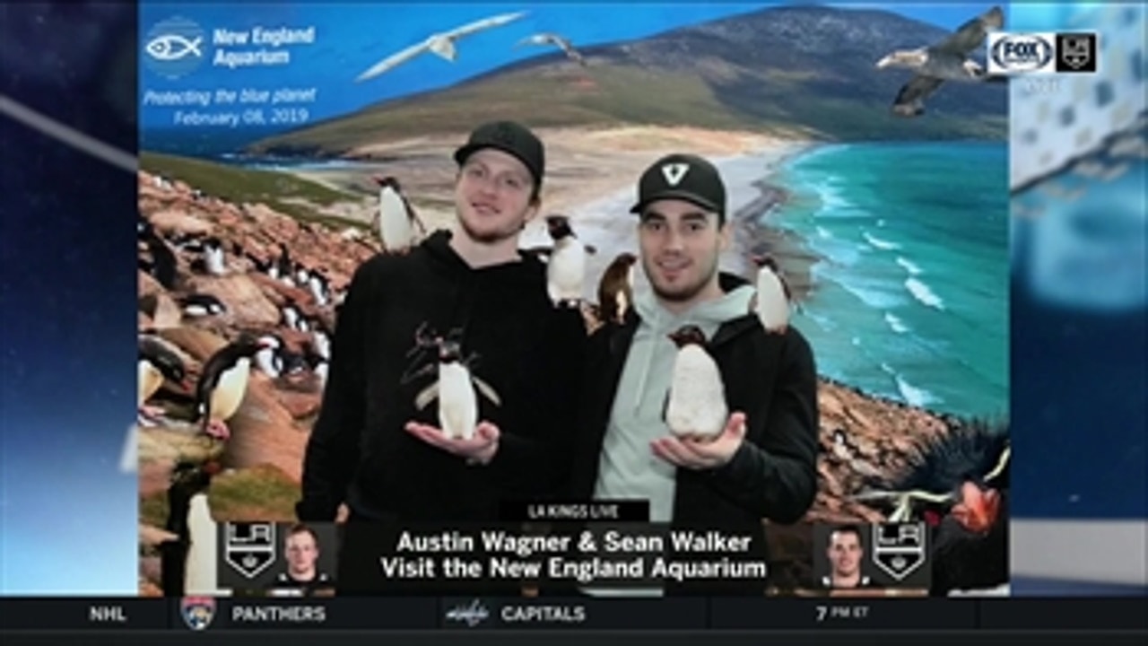 Sean Walker, Austin Wagner take hilarious trip to the aquarium