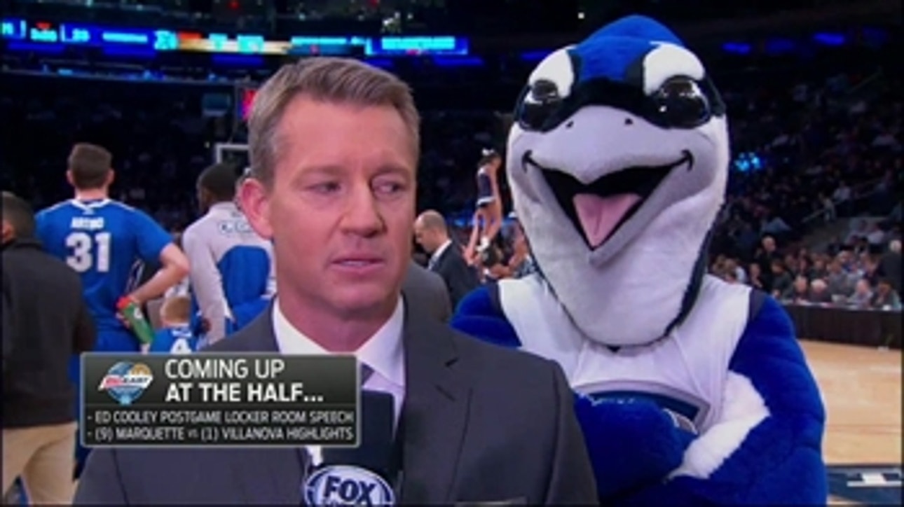 Bluejay stares into Rob Stone's soul