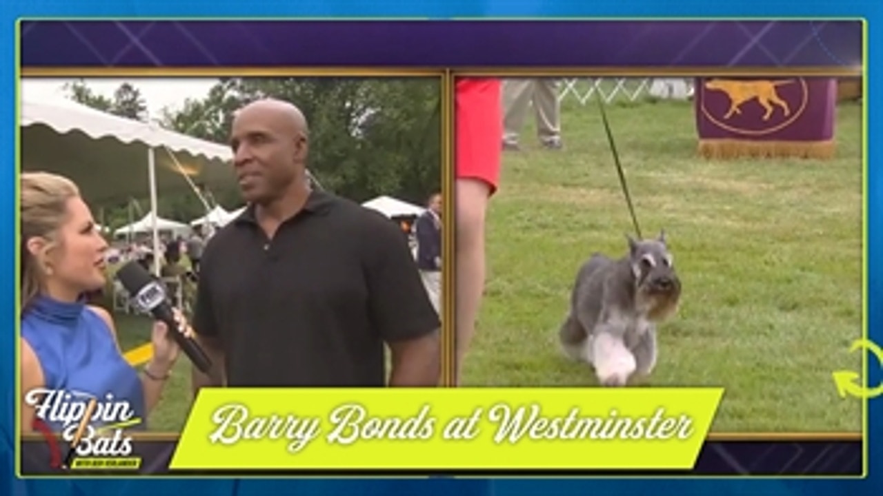 Barry Bonds with his dog at Westminster Dog Show — Ben Verlander shares his thoughts ' Flippin' Bats