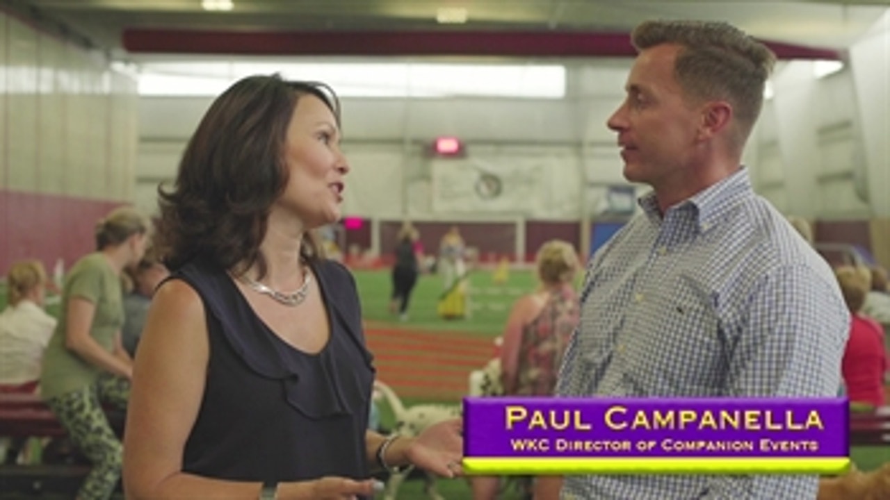 Paul Campanella explains this all-levels agility trial