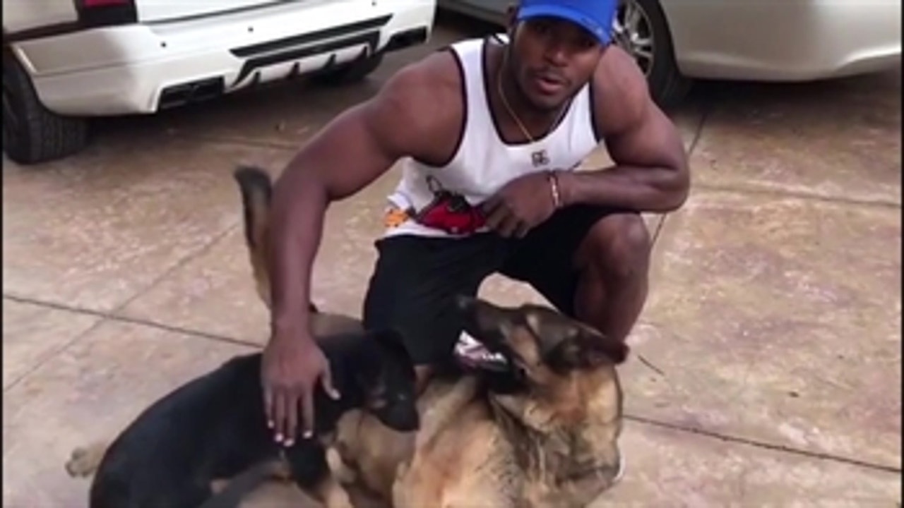 Yasiel Puig plays with his dogs ' PROCast