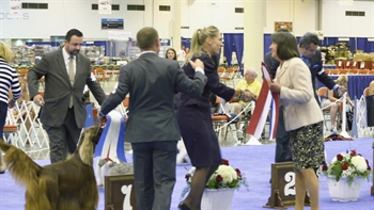 Road to Westminster (RTW): Dog Show 101 with Gail Miller Bisher