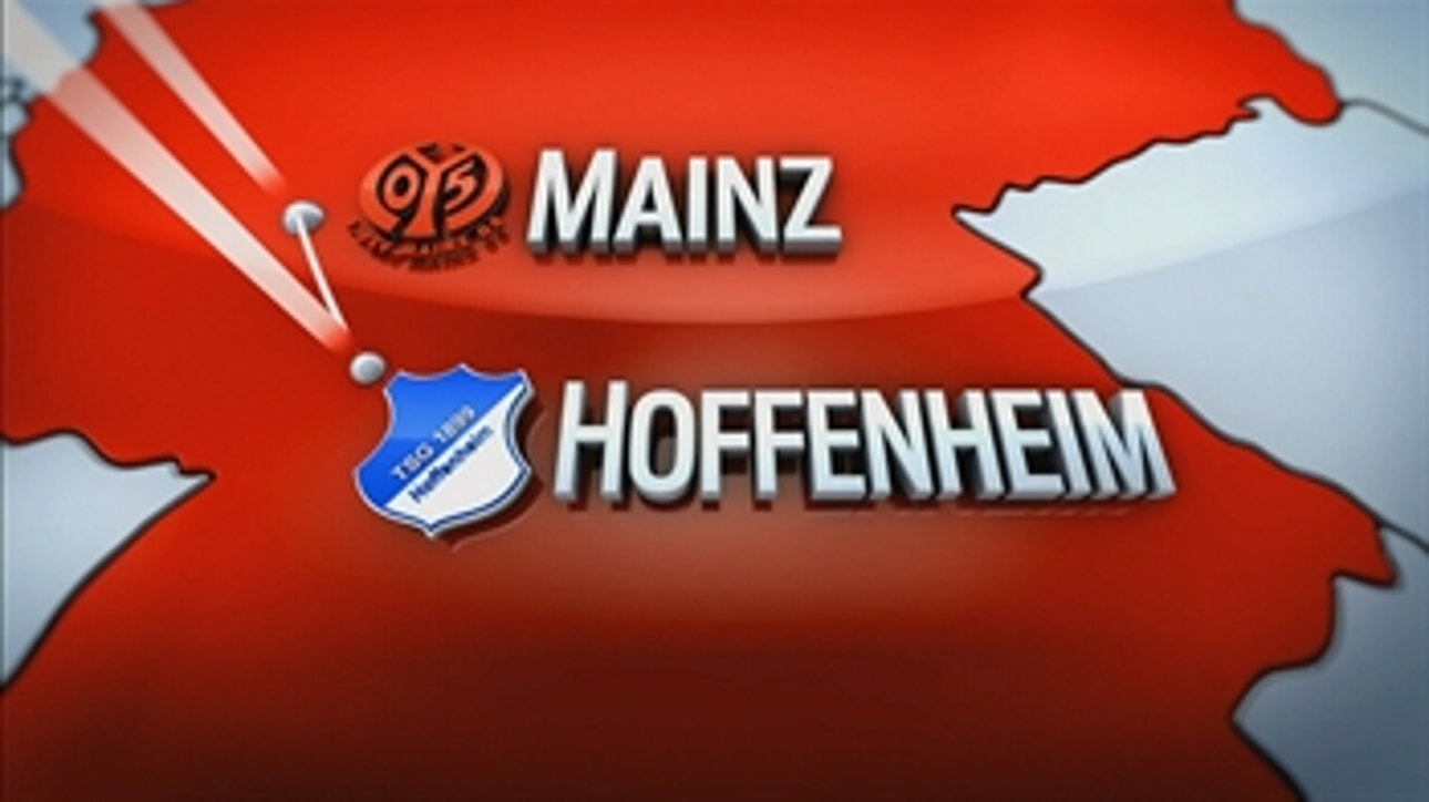 FSV Mainz 05 vs. 1899 Hoffenheim ' 2016-17 Bundesliga Highlights