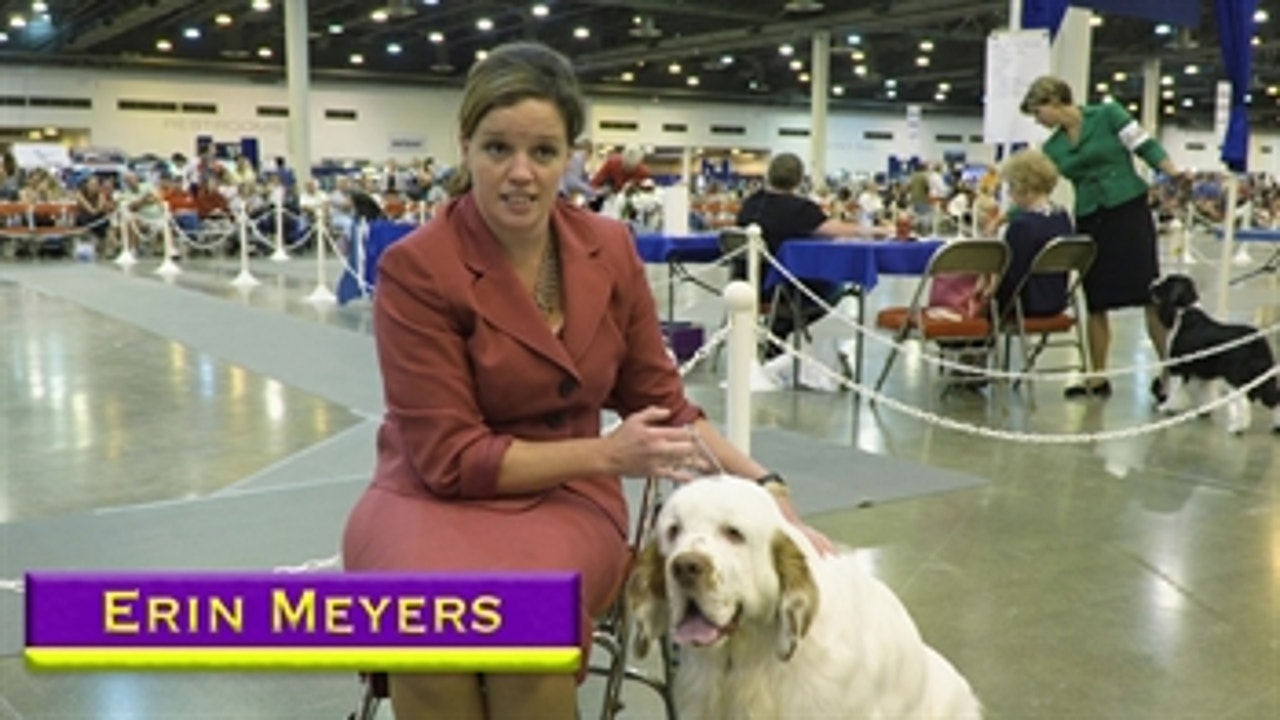 Road to Westminster (RTW): Pro Dog Handler Erin Meyers