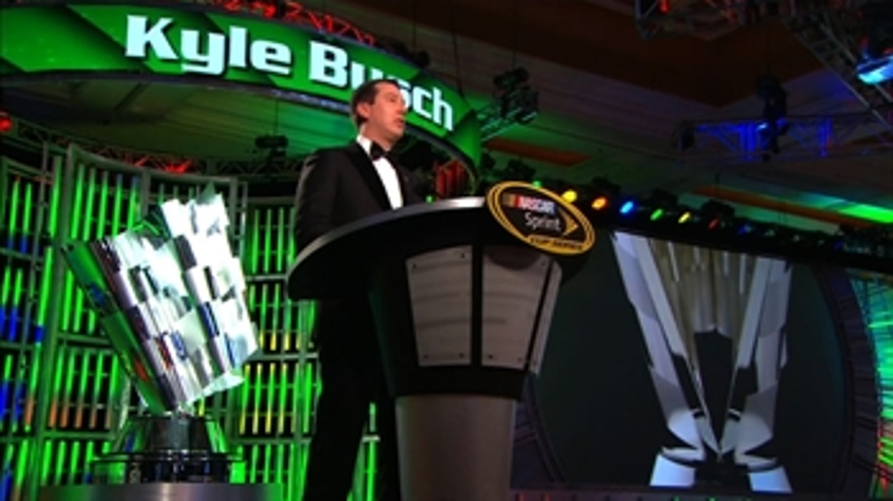 NASCAR Sprint Cup Awards: Kyle Busch - 2015