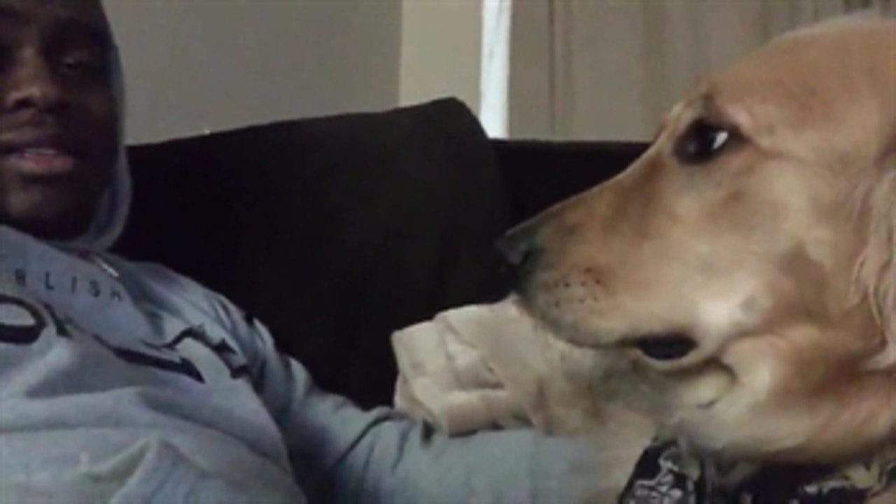 New Orleans Saints WR Brandin Cooks hangs with his buddy Scout - PROcast