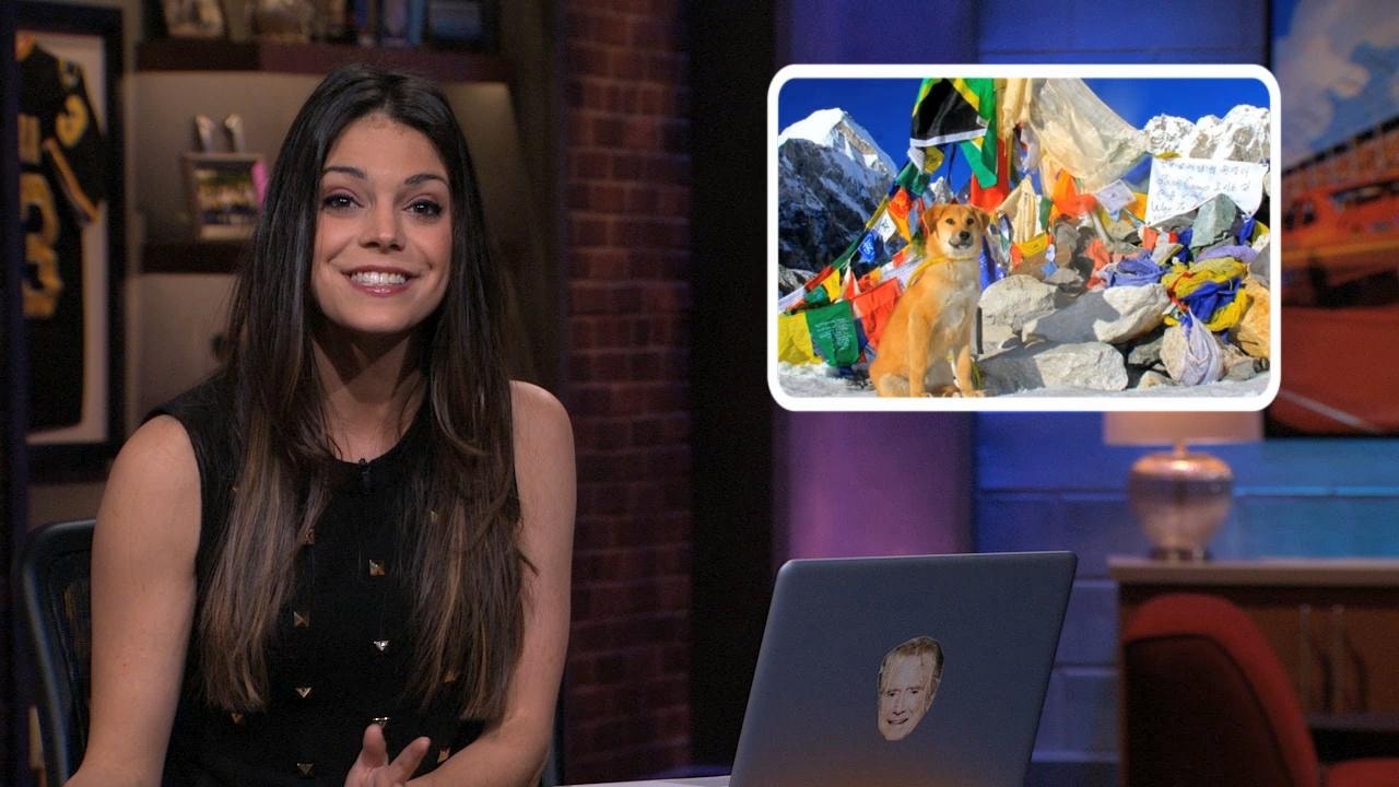 Mount Everest Dog: No Filter with Katie Nolan