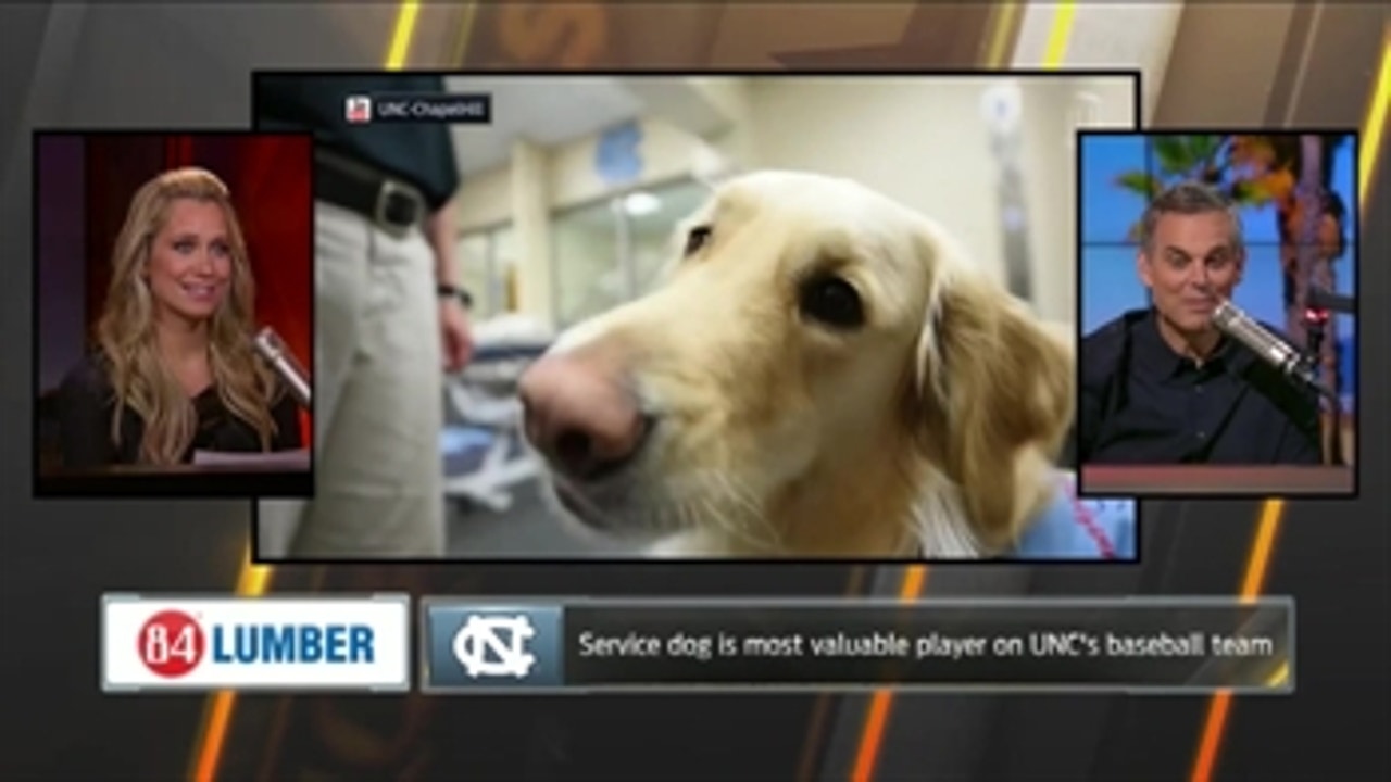 Service dog is most valuable player on UNC's baseball team ' THE HERD