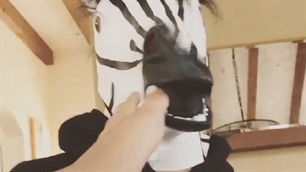 Why was Steph Curry wearing this zebra mask?