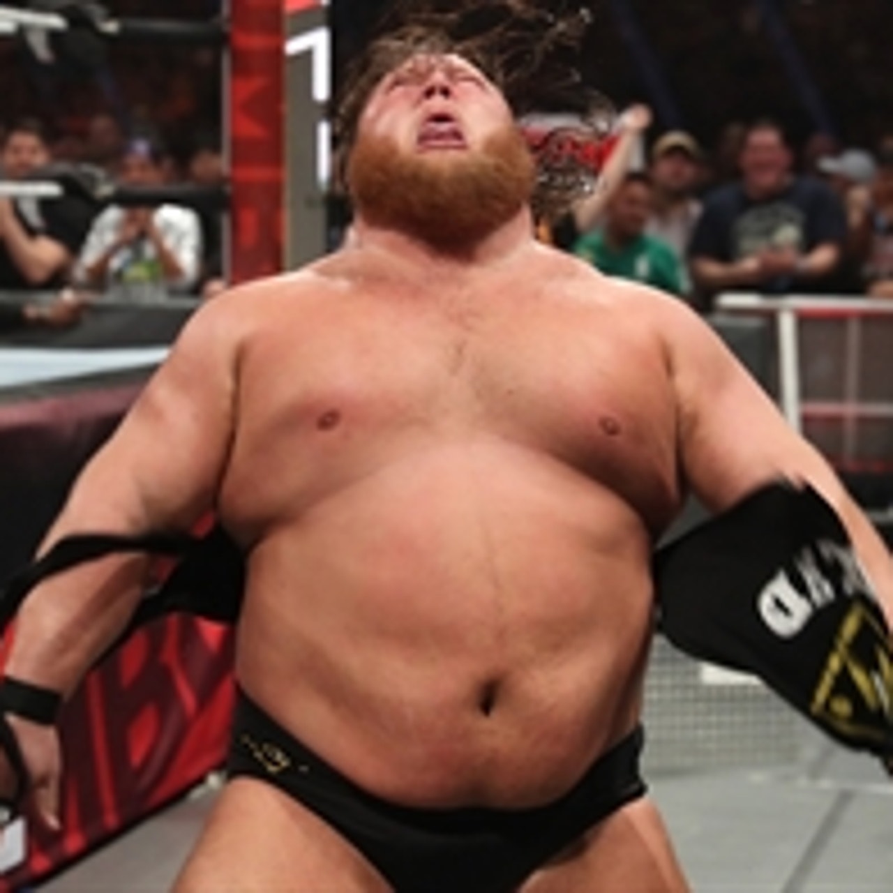 Wwe funny hot sale