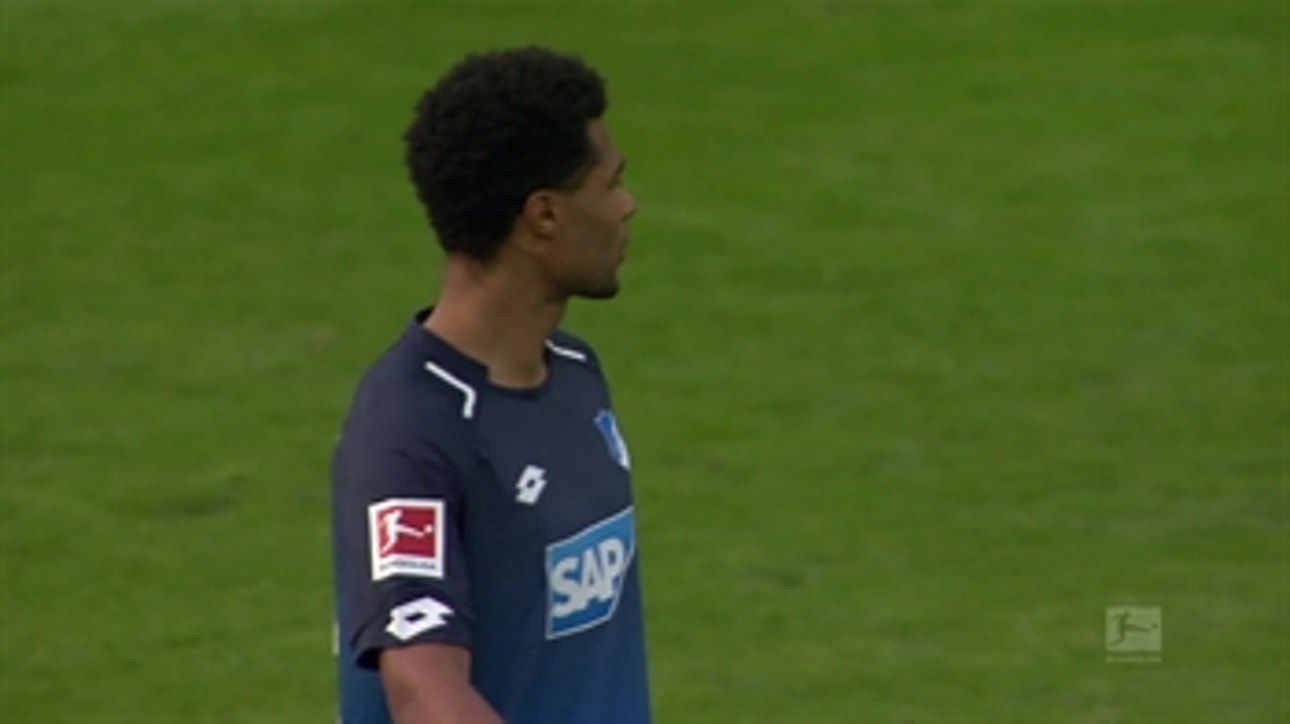 Eintracht Frankfurt vs.1899 Hoffenheim | 2017-18 Bundesliga Highlights