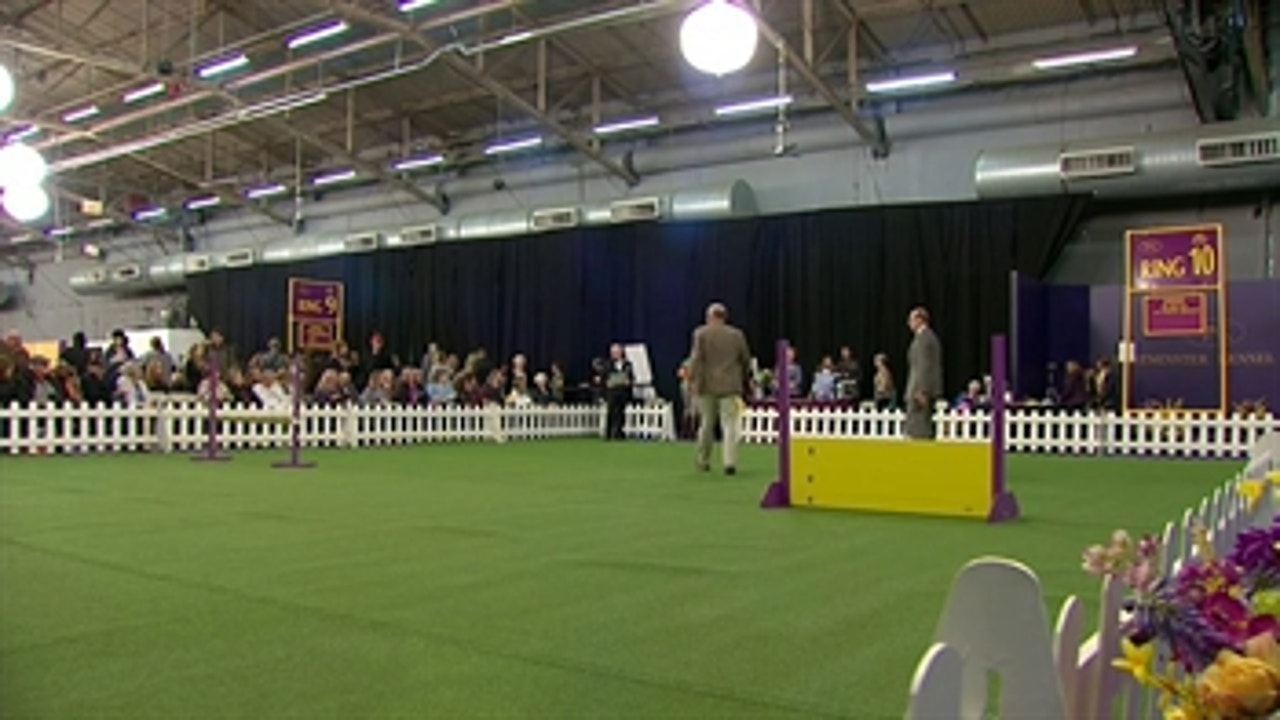 Ring 10 - Masters Obedience Championship Part 8