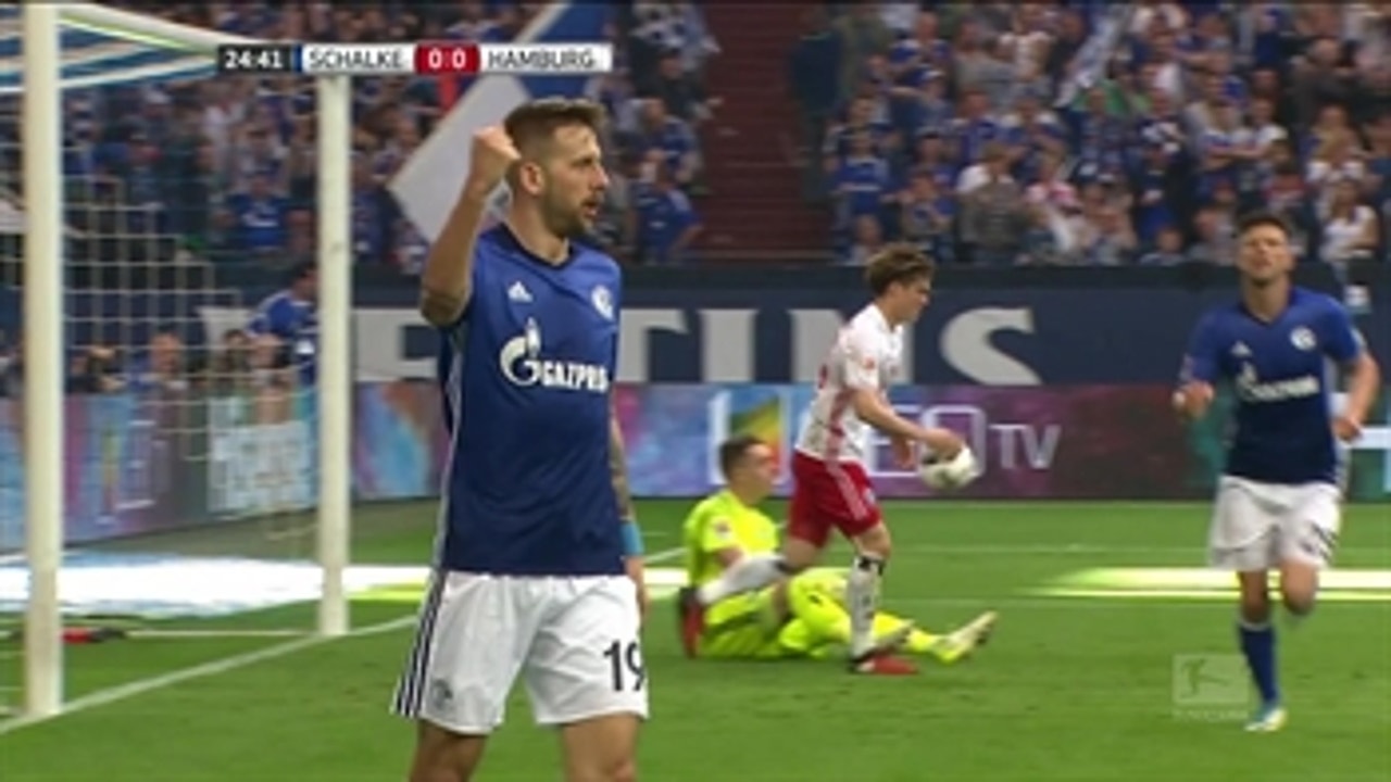 Guido Burgstaller scores for Schalke 04 ' 2016-17 Bundesliga Highlights