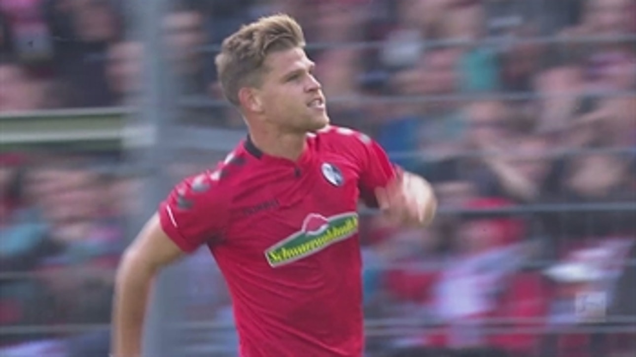 SC Freiburg vs. 1899 Hoffenheim | 2017-18 Bundesliga Highlights
