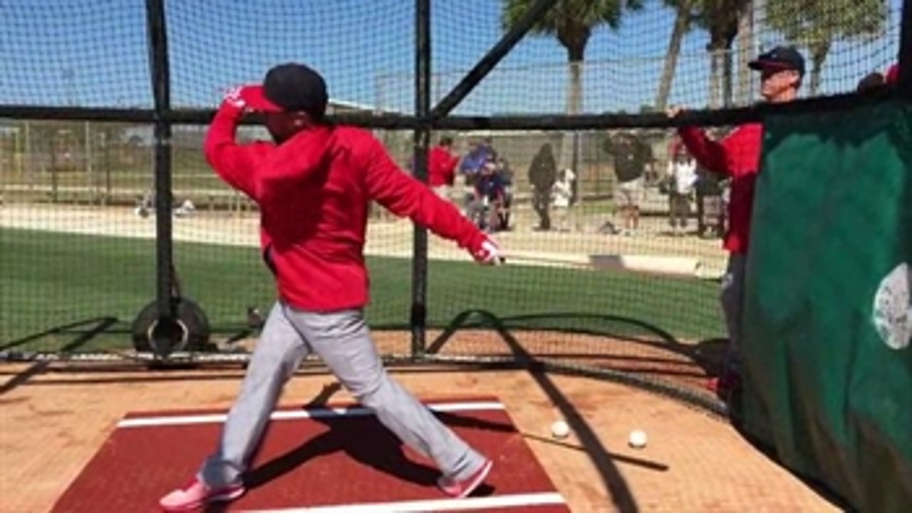 Sights and sounds from St. Louis Cardinals spring training