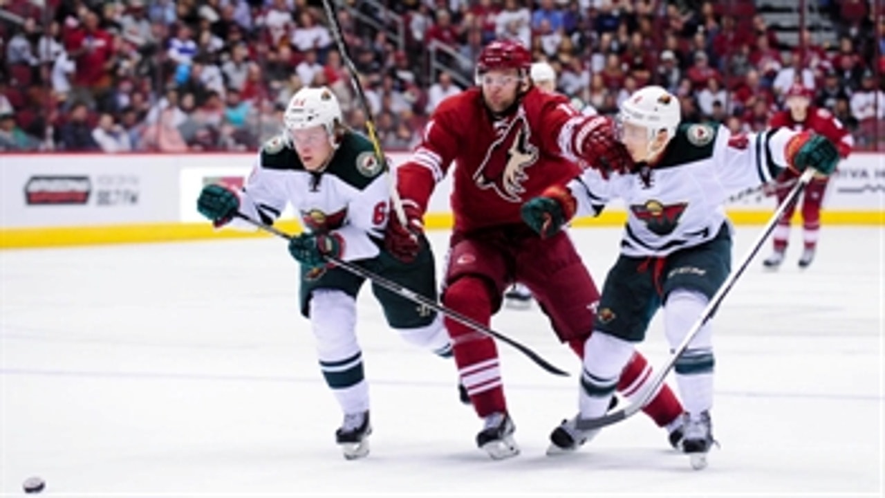 Wild score 3 in the third to top Coyotes