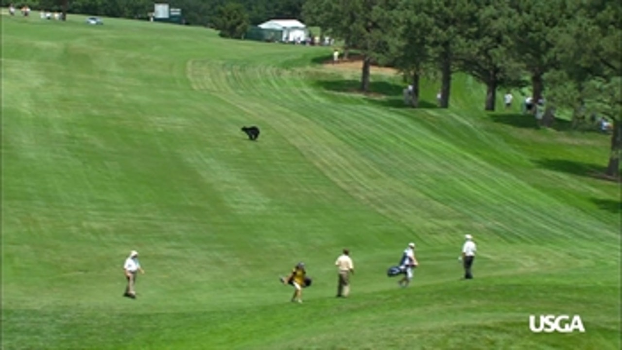 Rules Corner in Partnership With Rolex: Animals on the Golf Course