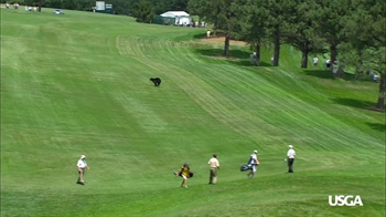 Rules Corner in Partnership With Rolex: Animals on the Golf Course