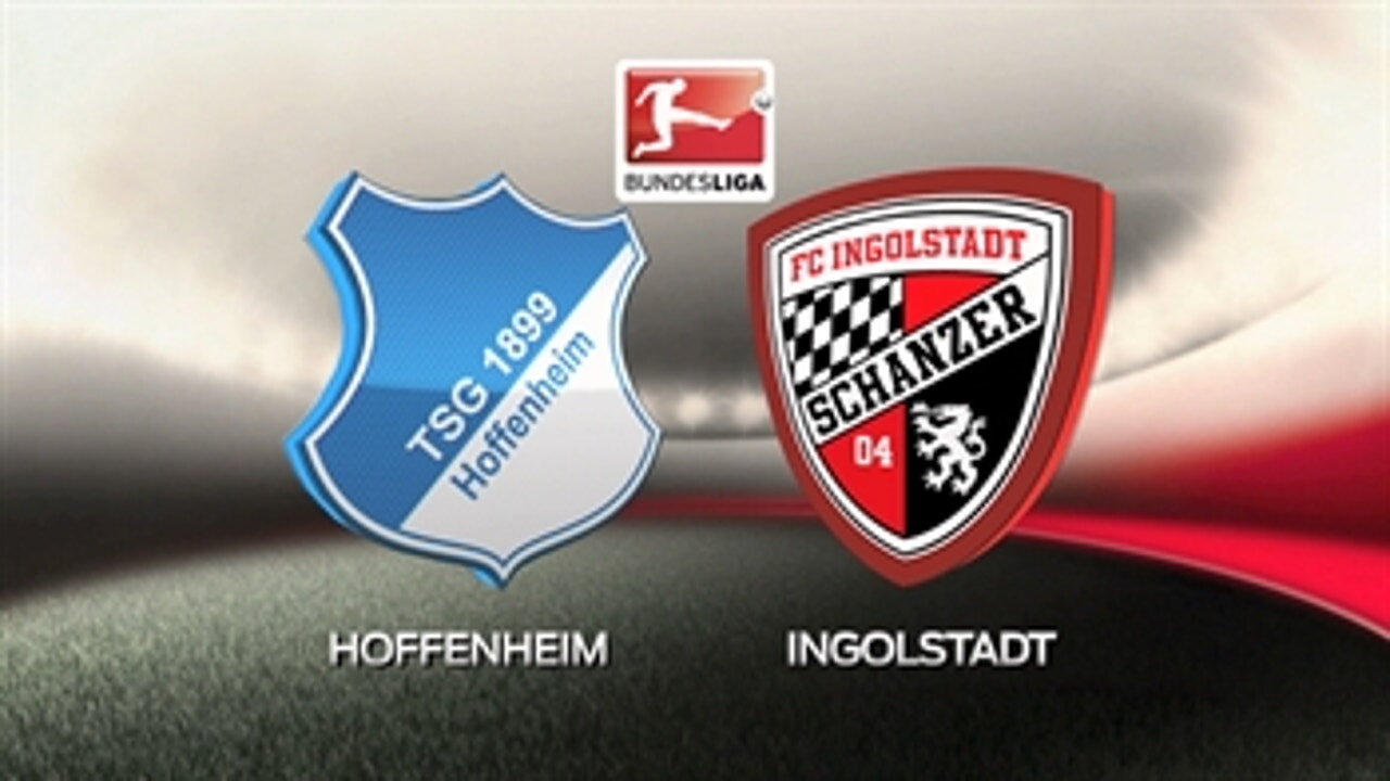 1899 Hoffenheim vs. FC Ingolstadt 04 ' 2015-16 Bundesliga Highlights