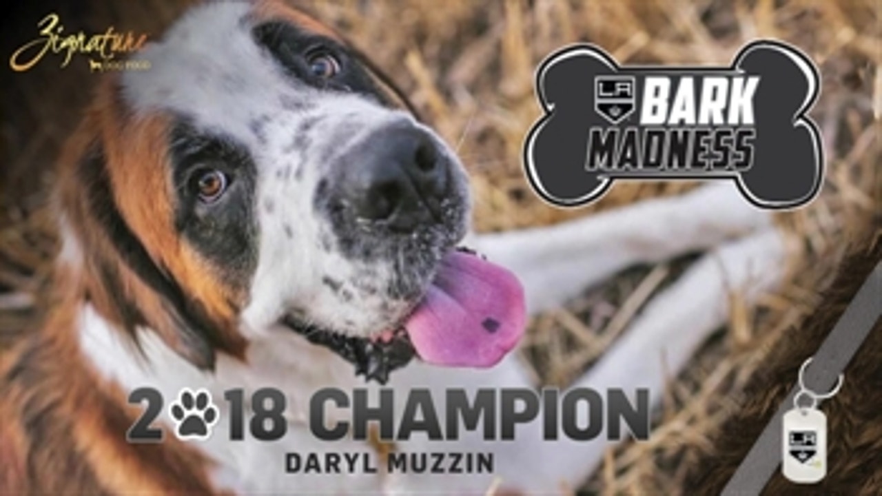 LA Kings Live: Bark Madness Final ... and the winner is?!