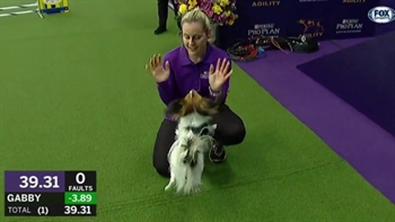 Gabby captures the 8" division title at the 2019 WKC Masters Agility