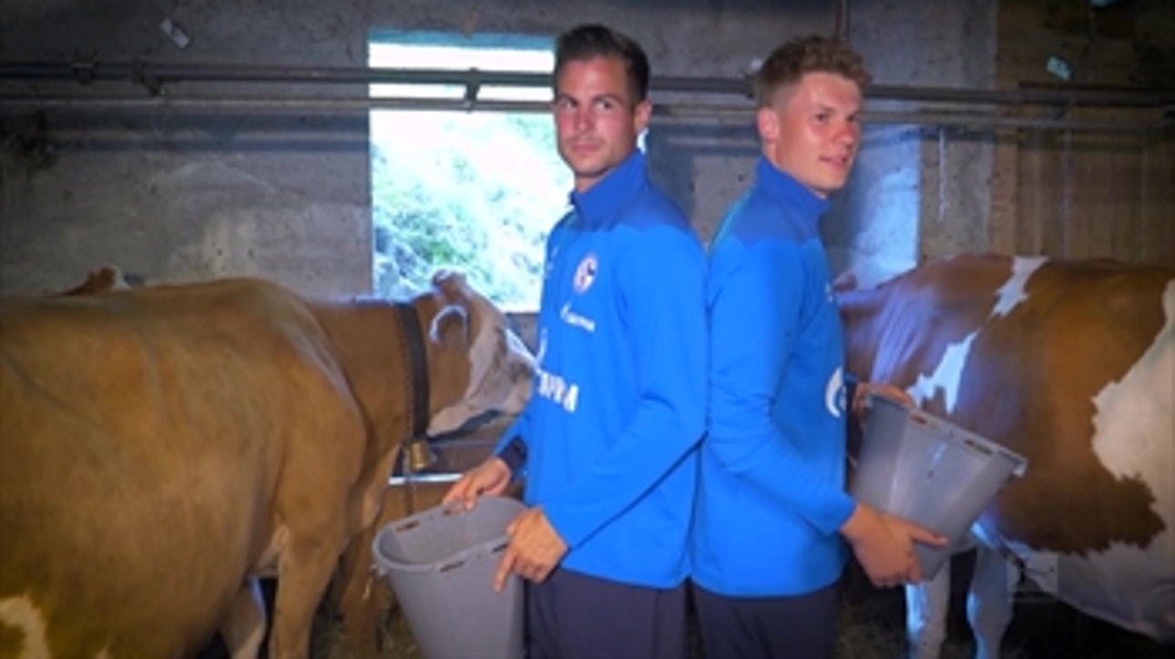 Schalke keepers compete in cow milking contest