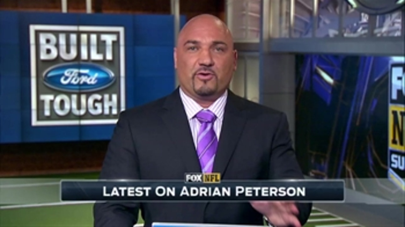 Jay Glazer on Greg Hardy, Ray Rice, Adrian Peterson and Roger Goodell