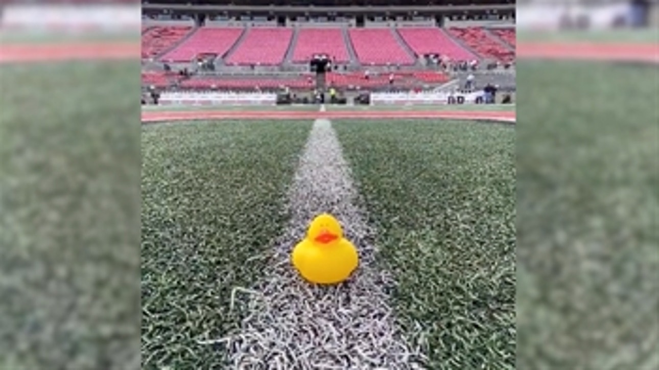 Who left the rubber duck on the Ohio State logo?  Charlotte Wilder has the answer ' CFB on Fox