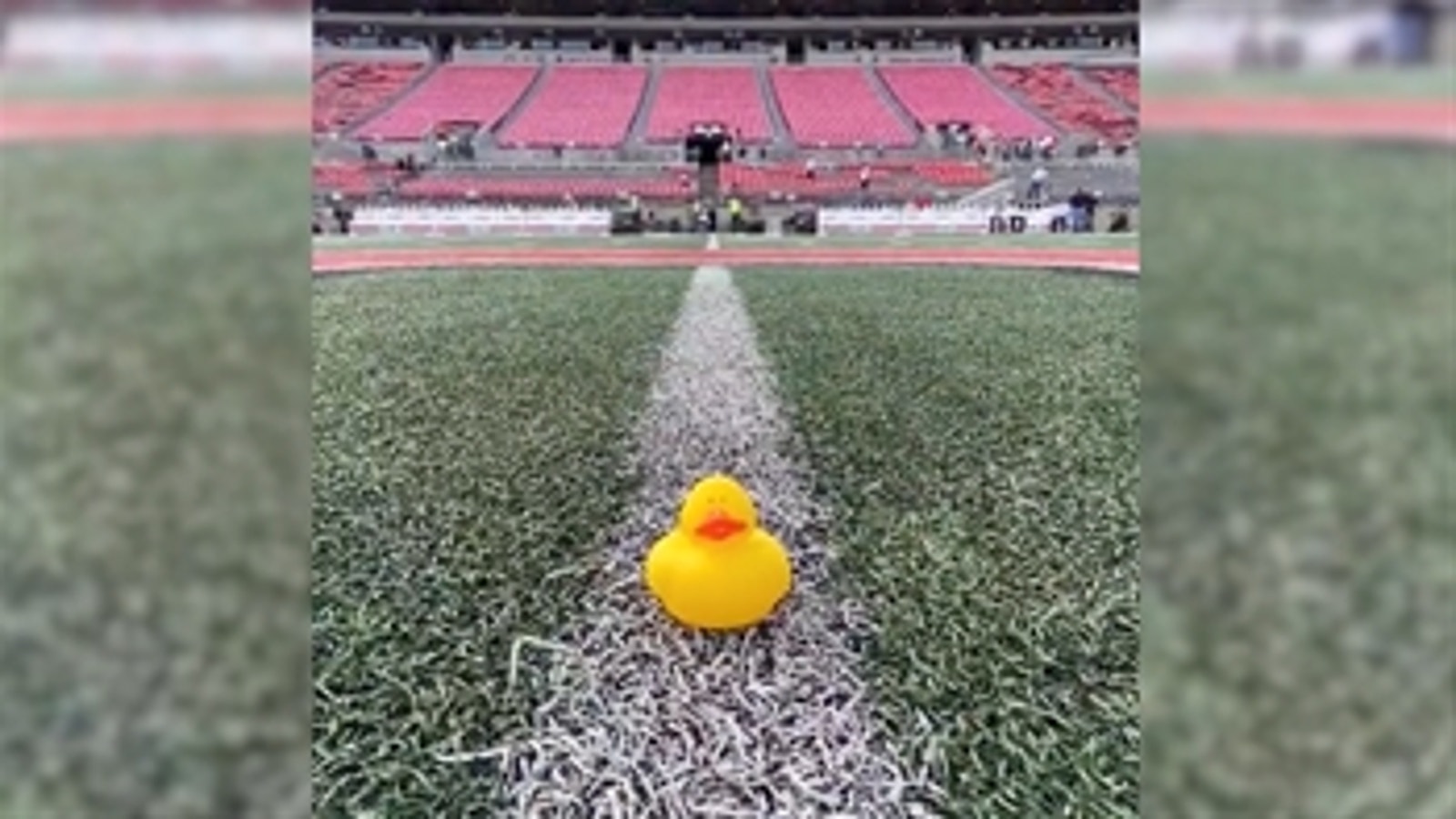 Who left the rubber duck on the Ohio State logo? Charlotte Wilder has the answer — CFB on Fox