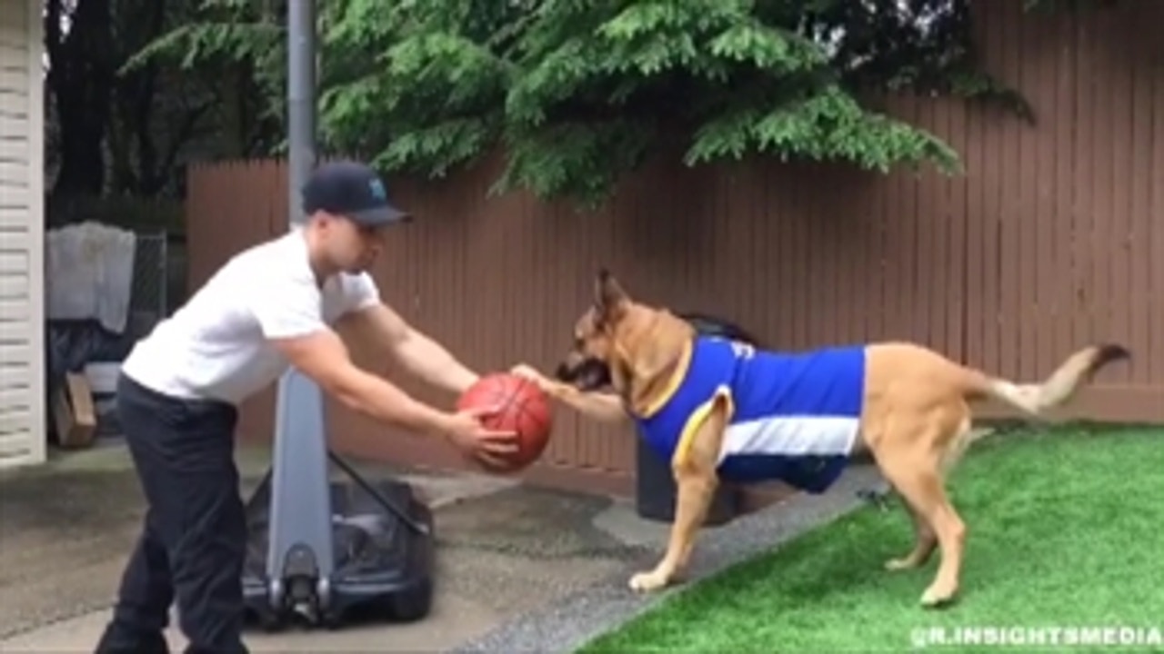 Stephen Curry is the MAN but Steph Furry is THE dog