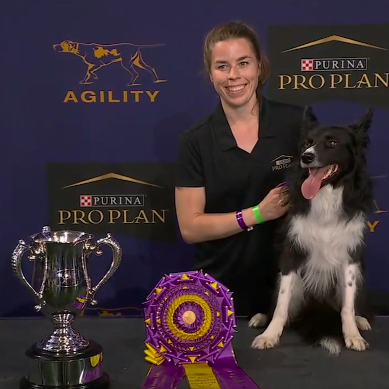 How Can I Watch The Westminster Dog Show