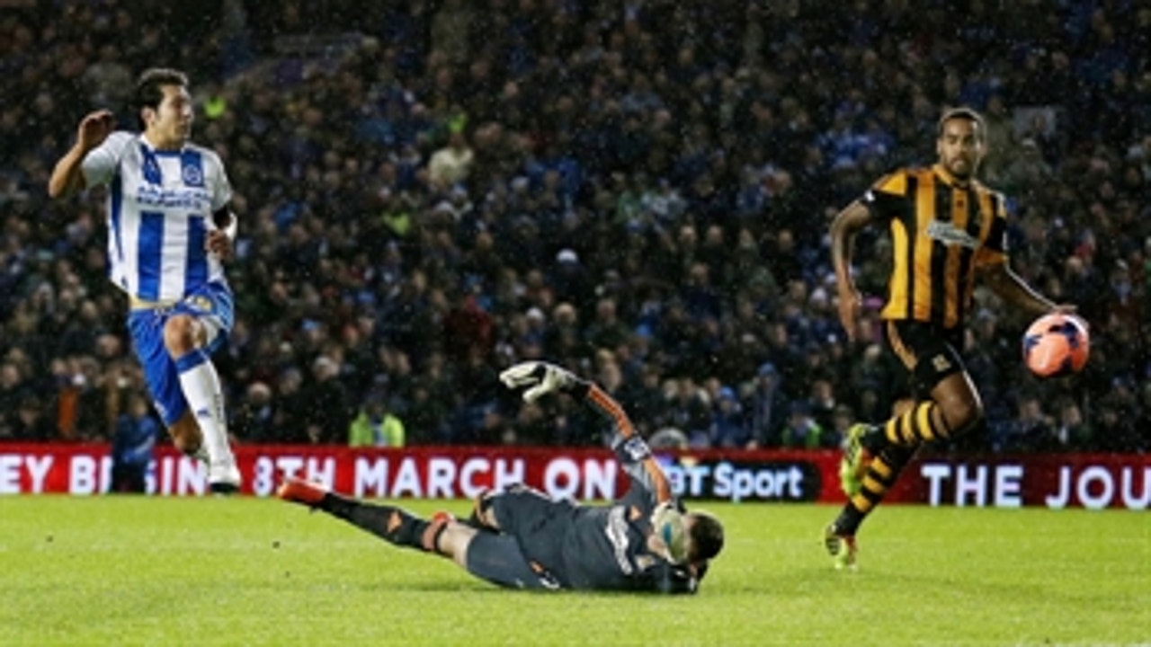 Brighton & Hove Albion v Hull City Tigers FA Cup Highlights 02/17/14