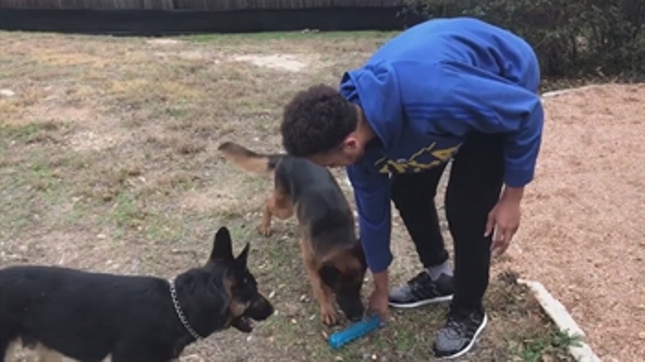 Kyle Anderson plays fetch with his adorable dogs ' PROcast