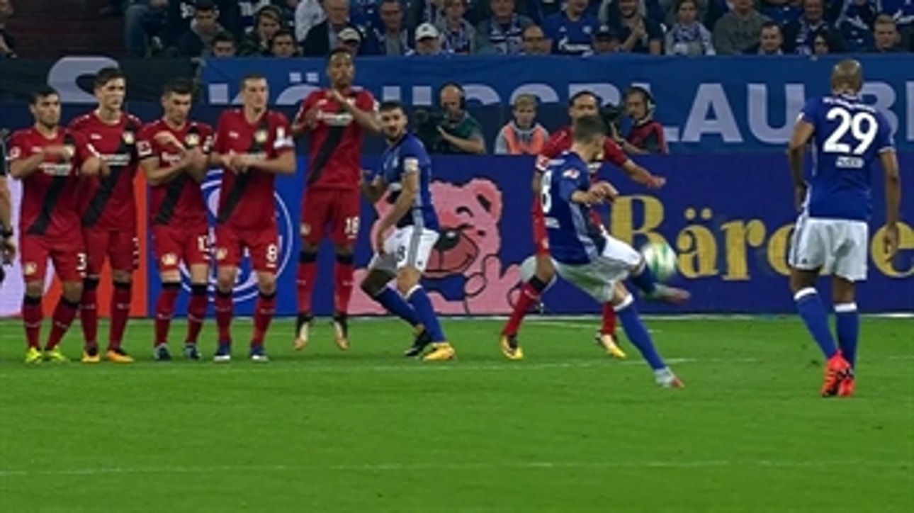 FC Schalke vs. Bayer Leverkusen | 2017-18 Bundesliga Highlights